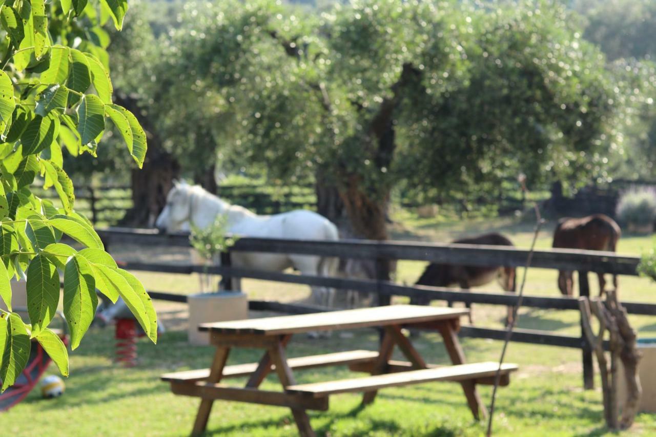 Willa Honigtal Farmland Agios Georgios Pagon Zewnętrze zdjęcie