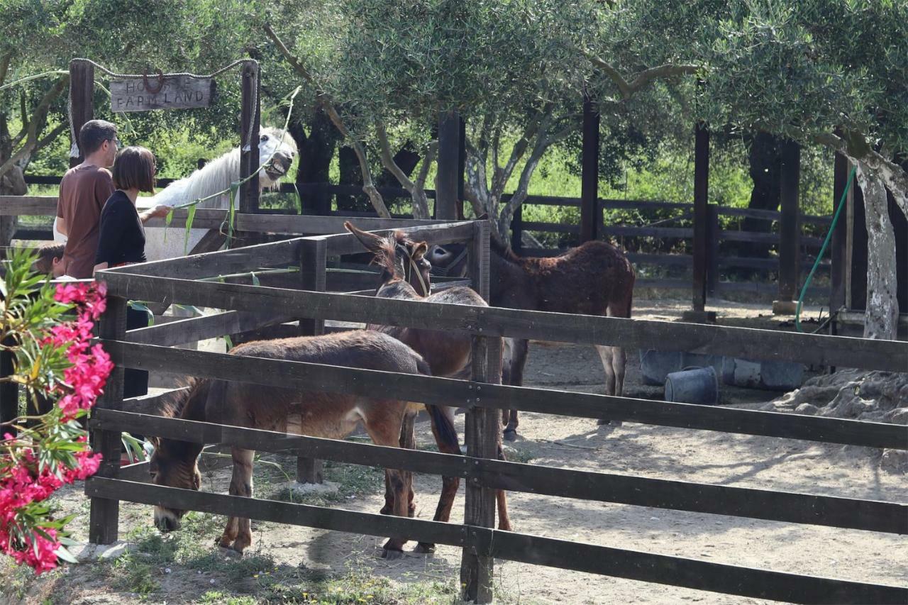 Willa Honigtal Farmland Agios Georgios Pagon Zewnętrze zdjęcie