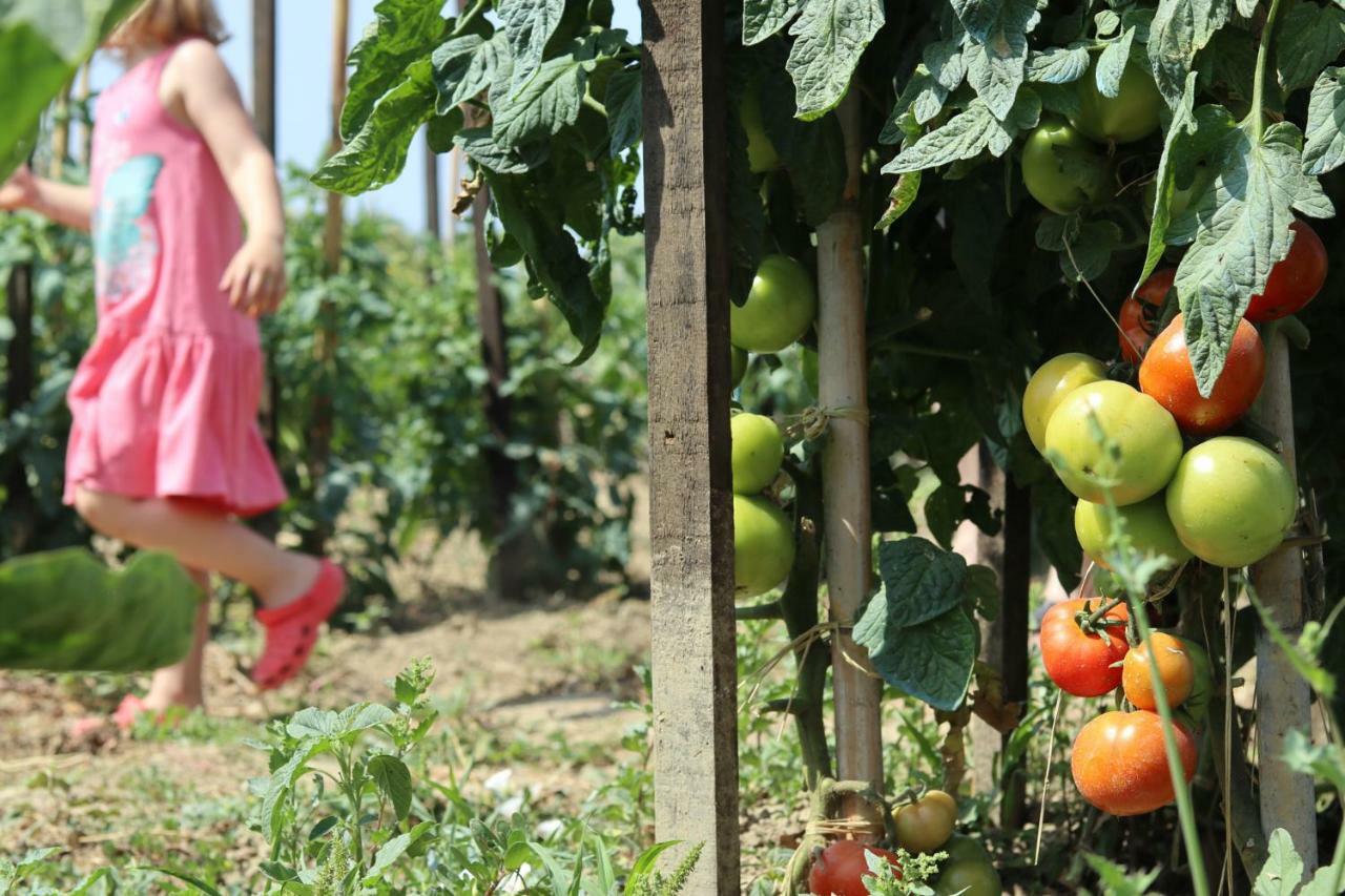 Willa Honigtal Farmland Agios Georgios Pagon Zewnętrze zdjęcie