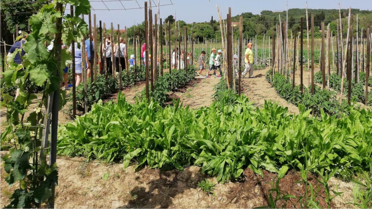 Willa Honigtal Farmland Agios Georgios Pagon Zewnętrze zdjęcie